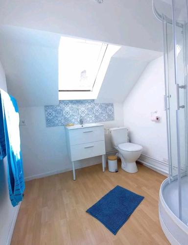 une salle de bain avec toilettes, lavabo et douche dans l'établissement l'appartement du château, à Boulogne-sur-Mer