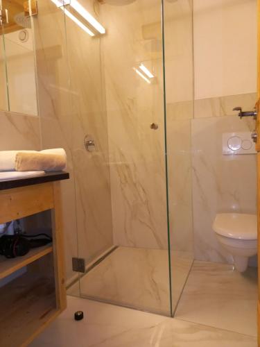 a shower stall in a bathroom with a toilet at Scheffauerhof in Scheffau am Wilden Kaiser