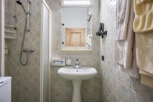 bagno con lavandino, doccia e specchio di Giongo Residence Aparthotel 104 a Lavarone