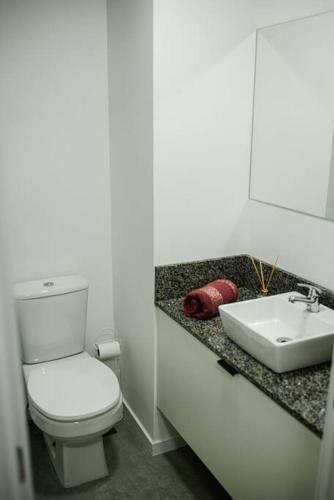 a bathroom with a toilet and a sink at Loft divino no Parque Una in Pelotas