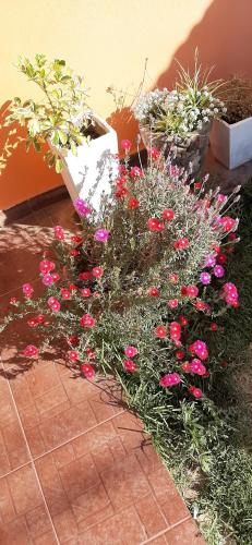 San Pedro 1 – Photos 4