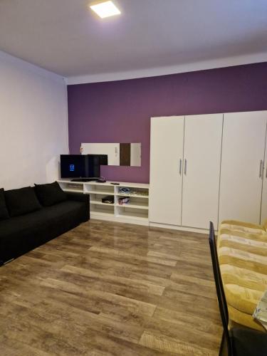 a living room with a couch and a tv at SAWAGO Płocka Mieszkanie Parter - Samodzielne zameldowanie in Ciechanów