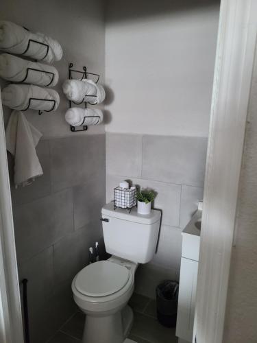 a bathroom with a white toilet in a room at Modern Studio Retreat with King Bed - Cozy Comfort in Pahokee