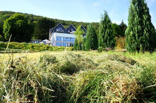 a large blue house in a field with tall grass at Waldhotel Schinkenwirt in Olsberg