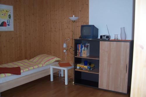 1 dormitorio con 1 cama, TV y estante para libros en Ferienwohnung Hecking en Tréveris