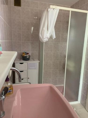 La salle de bains est pourvue d'une baignoire rose et d'une douche. dans l'établissement Maisonnette 1 chb à la campagne, à Eauze