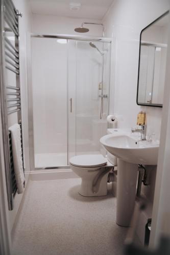 a bathroom with a shower and a toilet and a sink at The Fox and Hounds in Banc-y-felin