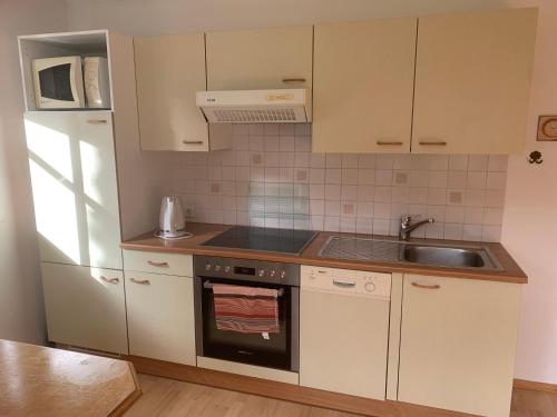 een kleine keuken met witte kasten en een wastafel bij Haus Ulli in Radstadt