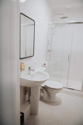 a bathroom with a sink and a toilet and a mirror at The Fox and Hounds in Banc-y-felin