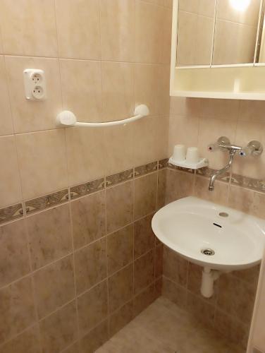 a bathroom with a sink and a shower at Penzion Jáchymov Pod Lanovkou in Jáchymov