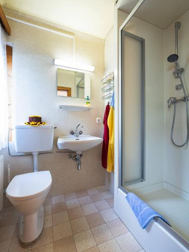 a bathroom with a toilet and a sink and a shower at Gästehaus Bleiweis-Zehentner in Zell am See