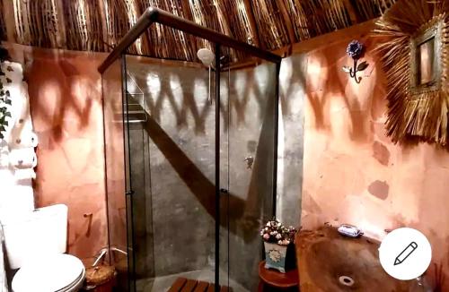 a bathroom with a shower with a toilet at Recanto das Mels no Alto da Chapada in Alto Paraíso de Goiás