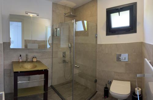 a bathroom with a shower and a toilet and a sink at Villa Aylinda with private heated Pool in Bodrum City