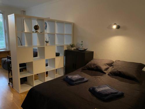 a bedroom with a bed and a book shelf at Modern Studio Apartment in Berlin with Garden Near Sea in Berlin