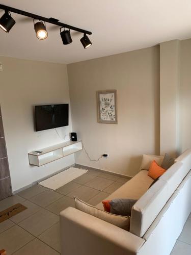 a living room with a couch and a flat screen tv at Amaru - Amplio departamento céntrico con cochera in Corrientes