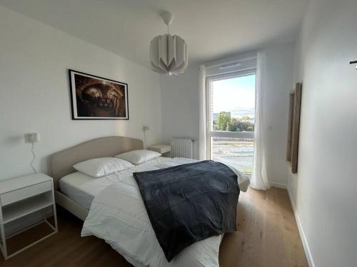 une chambre avec un grand lit avec une fenêtre dans l'établissement Magnifique appartement T4, à Bordeaux