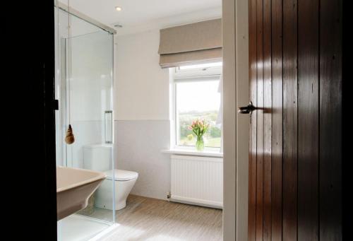 a bathroom with a toilet and a window at Home near Port Isaac sleeps 10 in Port Isaac
