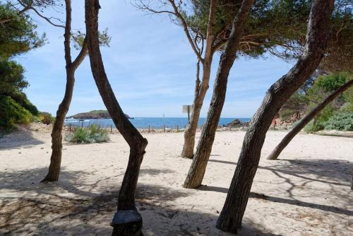 un groupe d'arbres sur la plage dans l'établissement Cadre exceptionnel - Appt Classé 3 entièrement climatisé - Mer-piscine-tennis, à Bandol