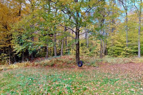 a frisbee hanging from a tree in a field at Mad River Masterpiece in Irasville
