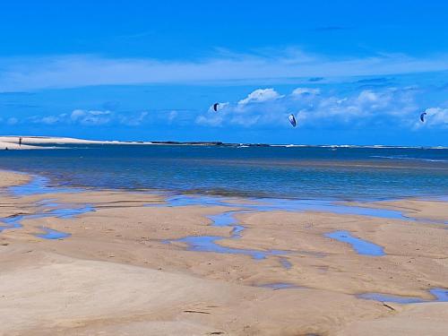 a group of kites flying over the water on a beach at Hospedaria Arte Sagrada in Canguaretama