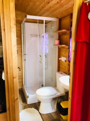 une salle de bain avec toilettes et douche dans l'établissement Camping, Hôtel De Plein Air Les Cariamas, à Châteauroux-les-Alpes