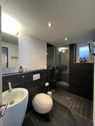 La salle de bains est pourvue de toilettes, d'un lavabo et d'une douche. dans l'établissement The R Apartment Froburg, Parking, Netflix, Golfplatz, à Obergösgen