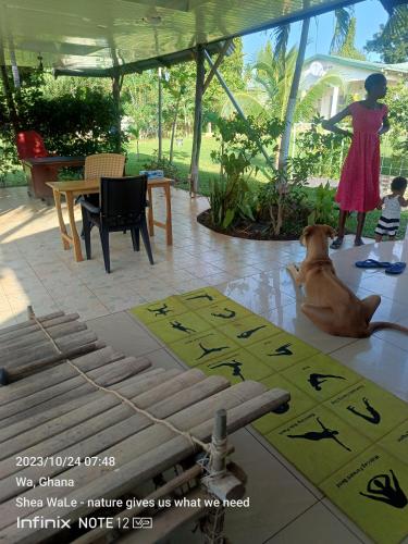 a dog sitting on the floor next to a table at BeautyByNature Estate by "Khadija&Family", unique private rooms, homemade dishes in a wonderful setting in Wa