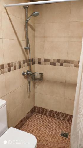 La salle de bains est pourvue d'une cabine de douche et de toilettes. dans l'établissement Excelente apartamento con esplédidas vistas al mar, à Puerto de la Cruz
