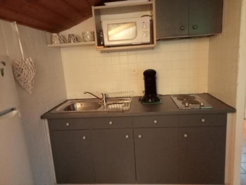 a kitchen with a sink and a microwave at Studio privatif in Guillestre
