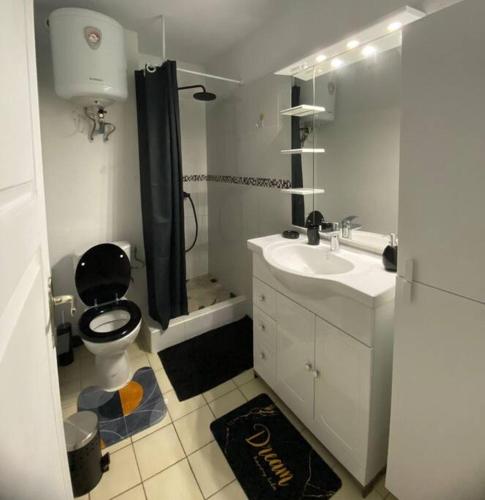 a bathroom with a black toilet and a sink at Quiet Place in Cayenne