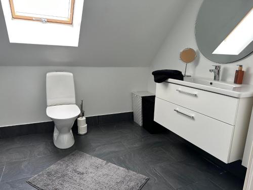 a bathroom with a toilet and a sink and a mirror at Yngsjövång in Yngsjö