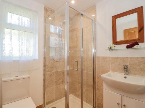 een badkamer met een douche, een toilet en een wastafel bij Lapwing Lodge in Cullompton