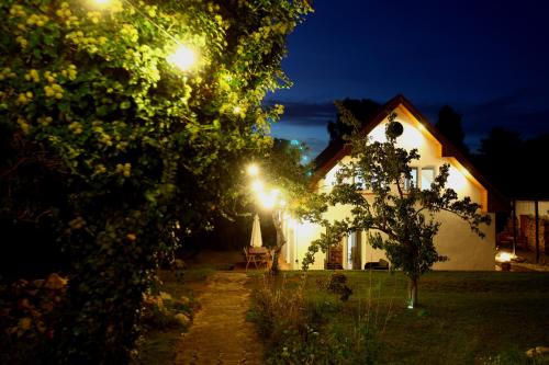 a house at night with a table and a tree at Dobre Miejsce in Międzyzdroje