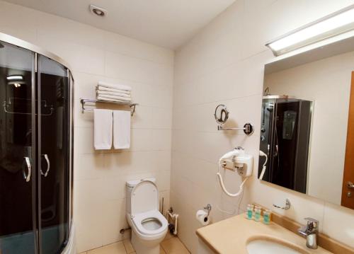 La salle de bains est pourvue de toilettes, d'un lavabo et d'une douche. dans l'établissement Vake Park Apartment, à Tbilissi