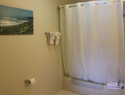 a bathroom with a shower with a white shower curtain at Back Bay Inn in San Luis Obispo