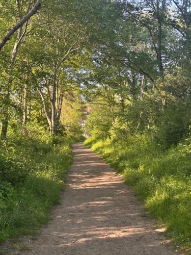 a dirt road with trees on both sides at Haus Haddorfer See "Hus vi d Sjön" in Wettringen