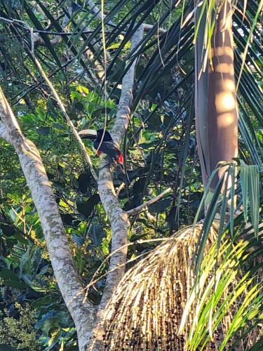 Taman di luar Sítio Donana Sana