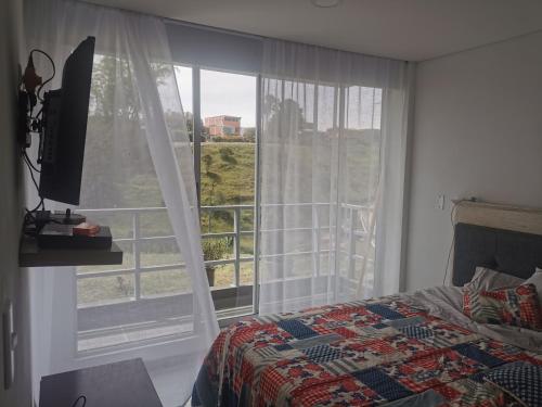 瓜塔佩的住宿－Palma Carey Colina View，一间卧室设有一张床和一个大窗户