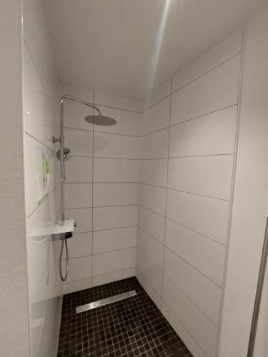 a bathroom with a shower and a sink at Luxuriöse Ferienwohnungen in Königstein an der Elbe