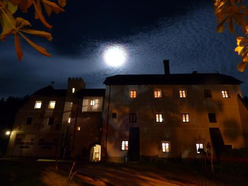 グレーブミングにあるHotel Schloss Thanneggのギャラリーの写真