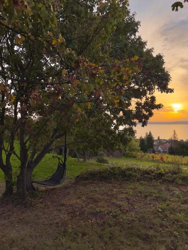 a hammock under a tree with the sunset in the background at Casa Mido Badacsony in Badacsonytomaj