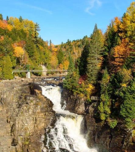 una cascada en medio de un río con árboles en Le Nid d'Aigle, en Beaupré