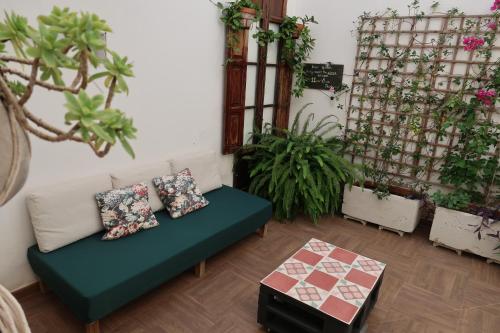 Family ARTpartment في فالنسيا: غرفة معيشة بها أريكة وبعض النباتات