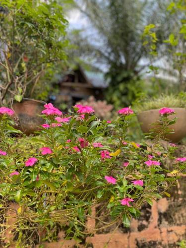 Jardín al aire libre en Lodge au paradis fleuri