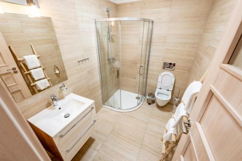 a bathroom with a shower and a toilet and a sink at Wellness zoo apartmány Lhota in Lomnice nad Lužnicí