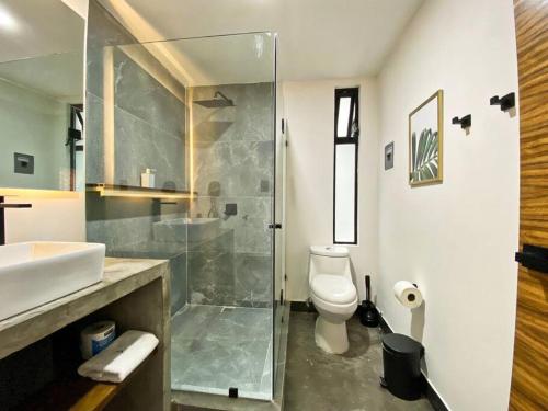 聖路易斯波托西的住宿－Loft cromo en excelente ubicación!，带淋浴、卫生间和盥洗盆的浴室