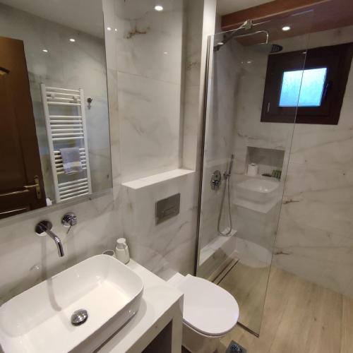 a bathroom with a sink and a shower and a toilet at Giataki in Elati Trikalon