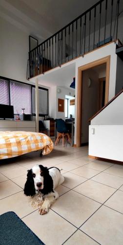 Gemme Fiorentine Apartments in front of the train station 5 minutes from the centre Free parking photo 37