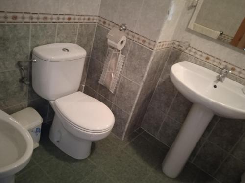 a bathroom with a white toilet and a sink at ALQUILO Habitación doble baño privado in Torremolinos