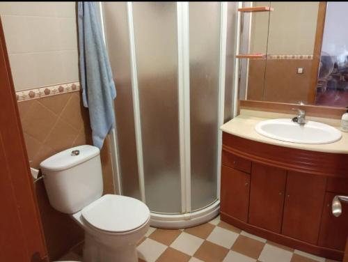 a bathroom with a shower and a toilet and a sink at Vivienda Planta Baja in Algemesí